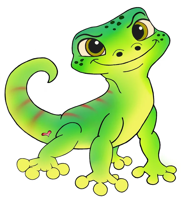 Paul, der kleine grüne Gecko